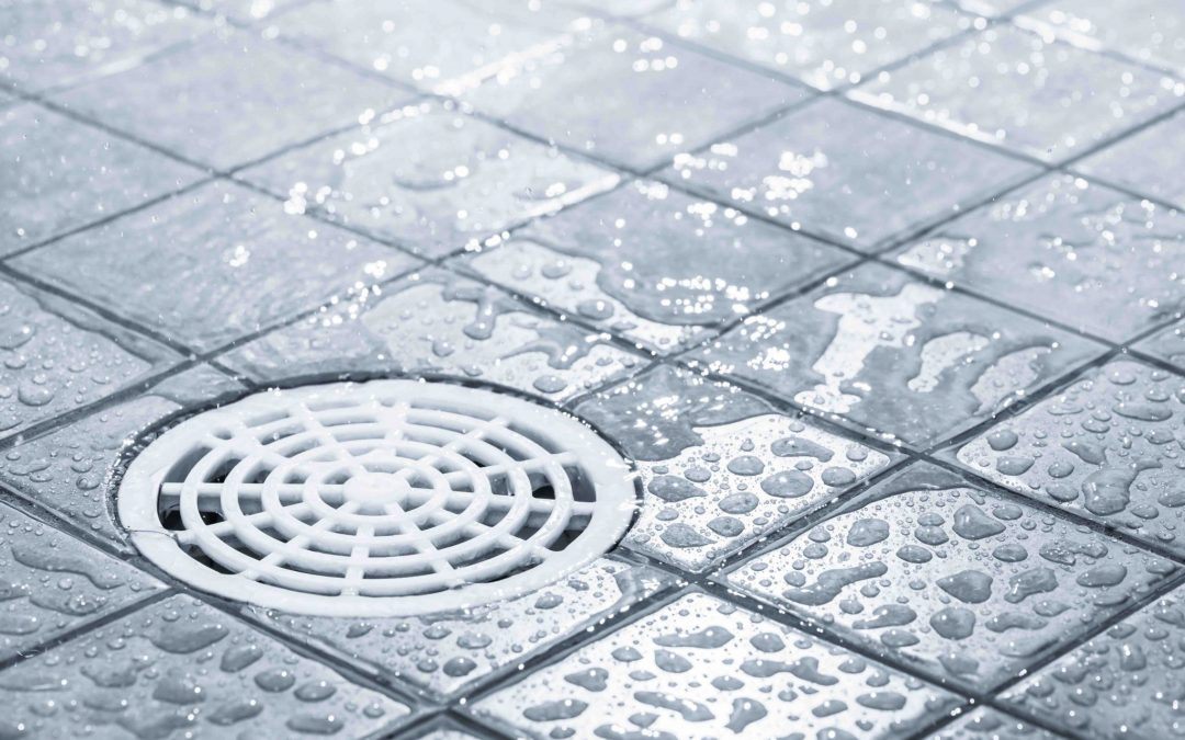 Tips for Unclogging Your Shower Drain